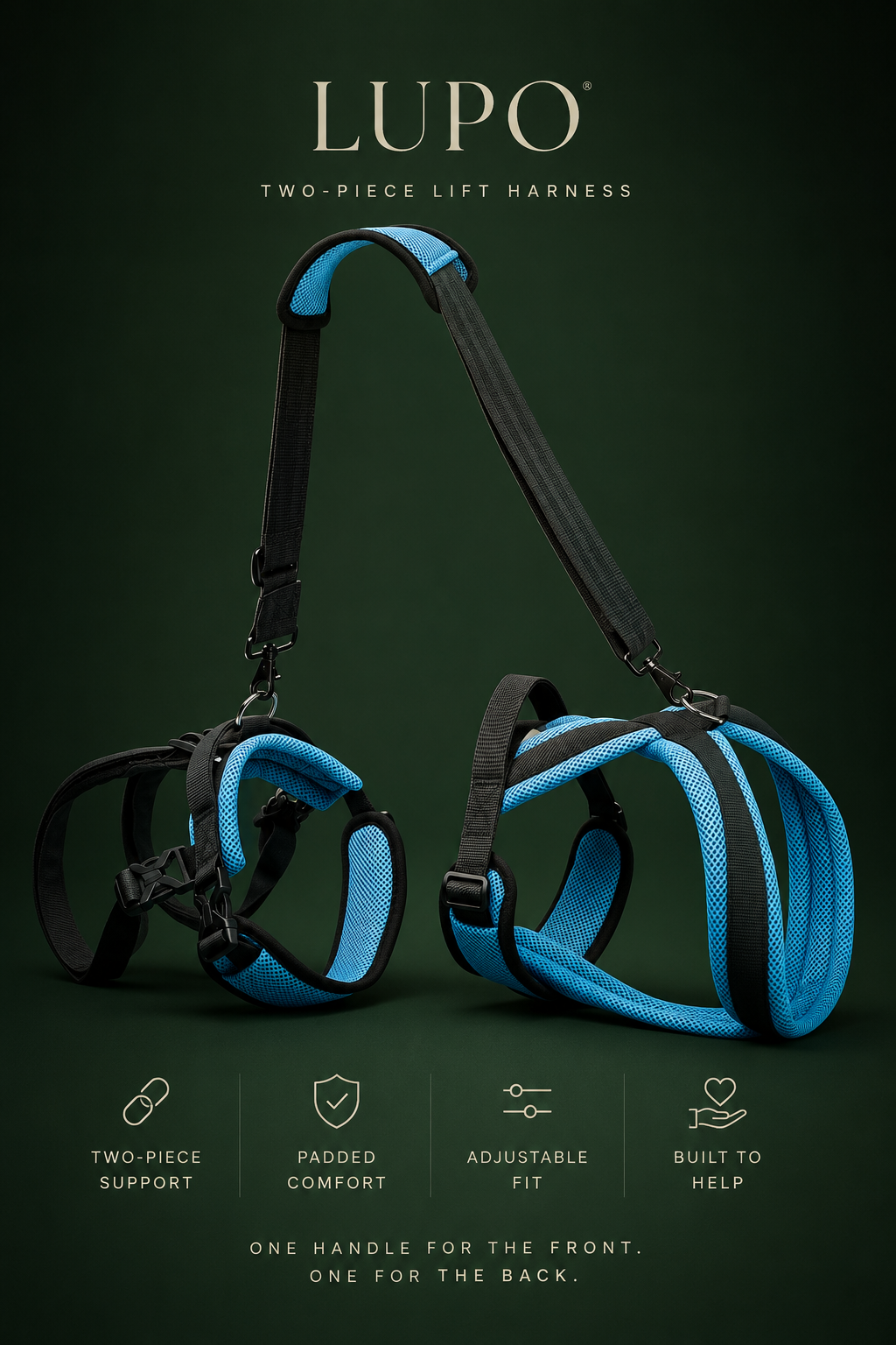 Degenerative Myelopathy Dog Harness: 4 Stages and How to Keep Them Walking
