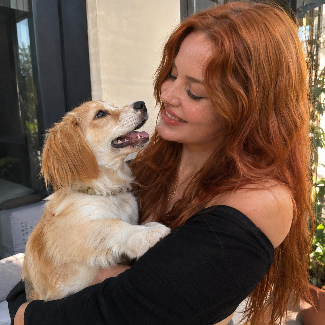 Dog Harness for Hip Dysplasia: 5 Ways the Lupo Lift Harness Eases the Pain