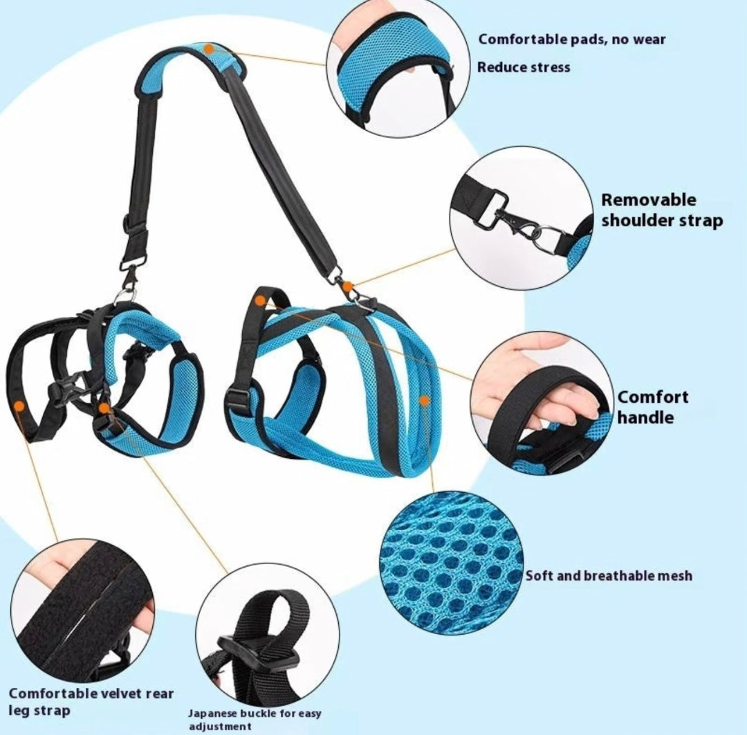 Blue and black pet harness shown with callout circles highlighting features such as comfortable padding, a removable shoulder strap, a comfortable handle, breathable mesh, and adjustable straps.