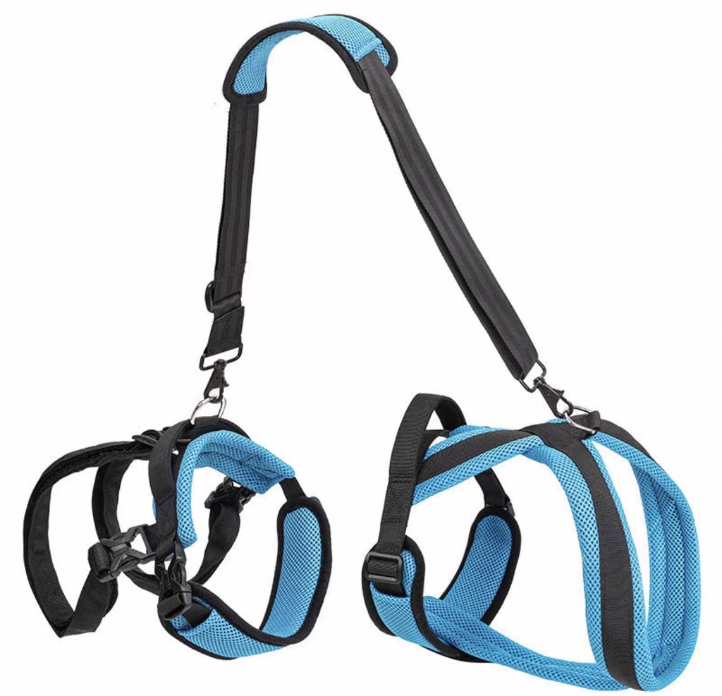 A two-piece dog harness and leash set with blue mesh padding and black nylon straps, shown on a plain white background.